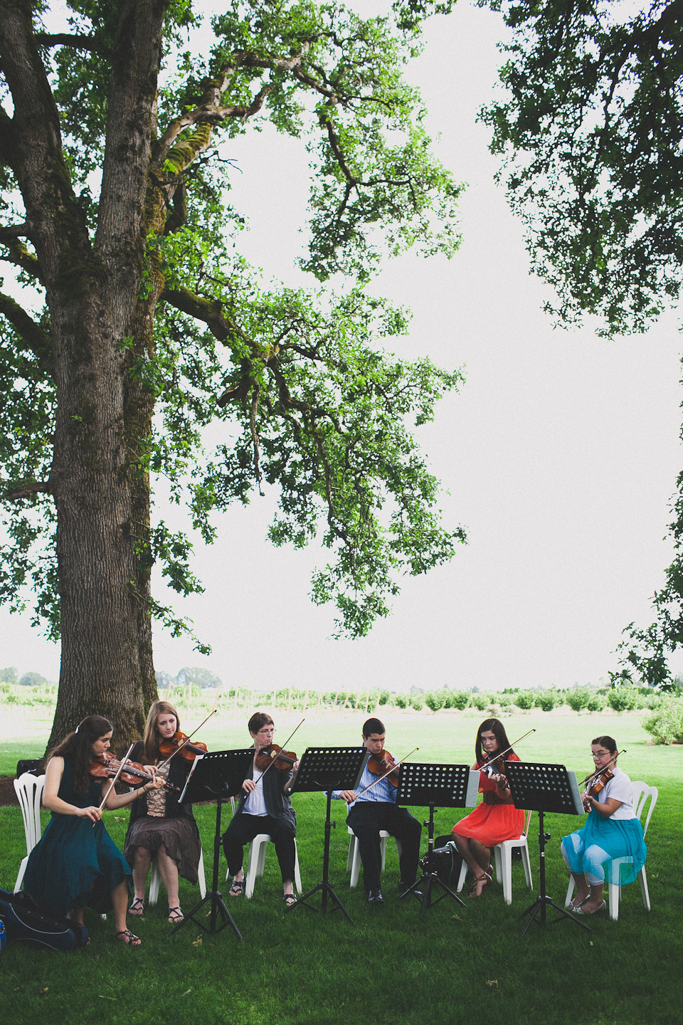 wedding ceremony postlewaits farm