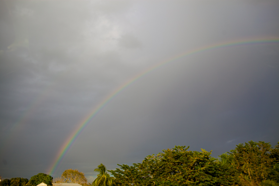 Belize Wedding