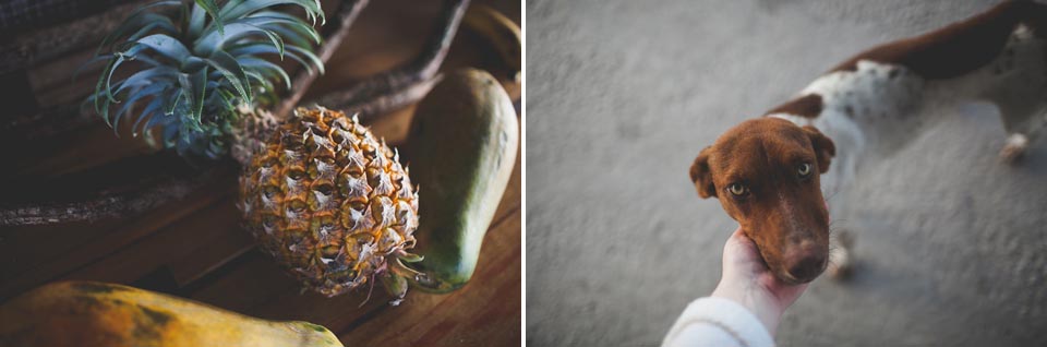 Belize Wedding