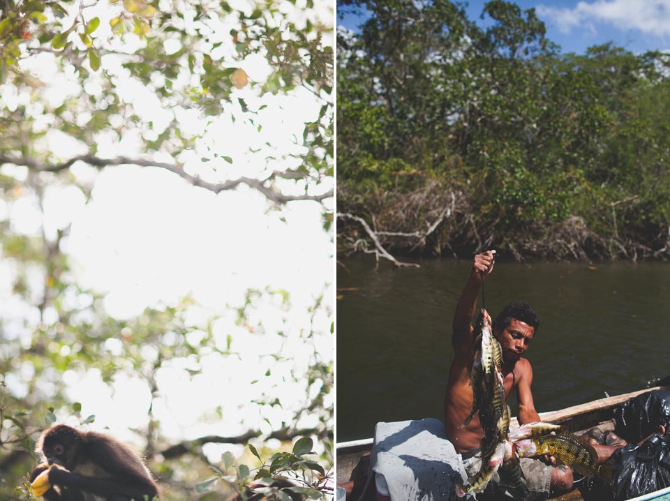 Belize Wedding