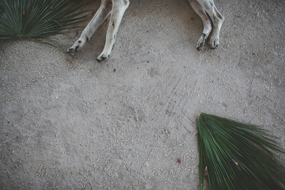 Belize Wedding