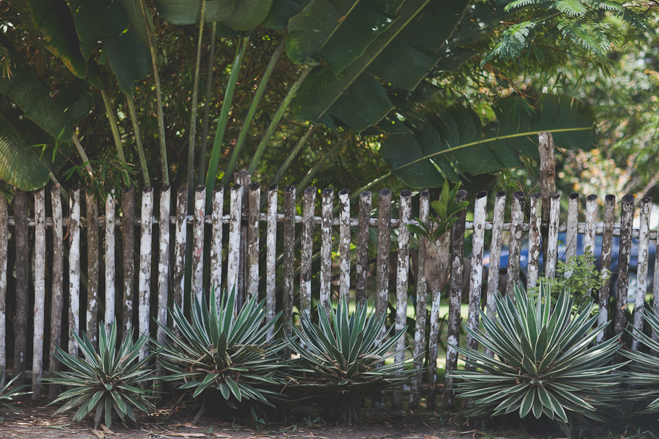 Belize Wedding