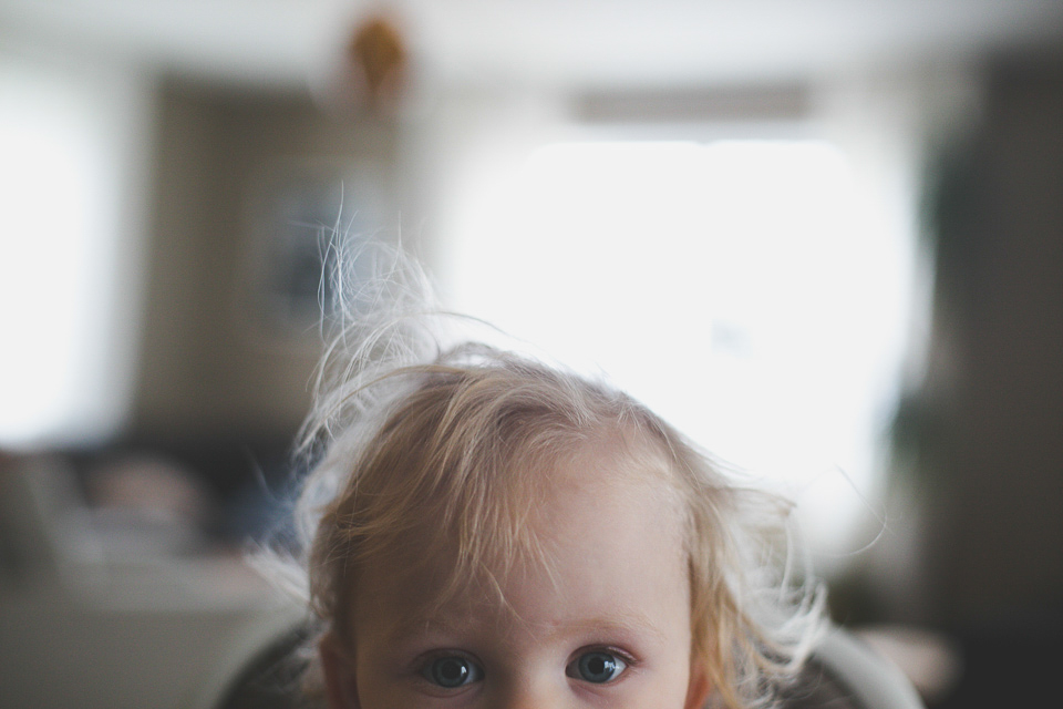 alternative family photographer