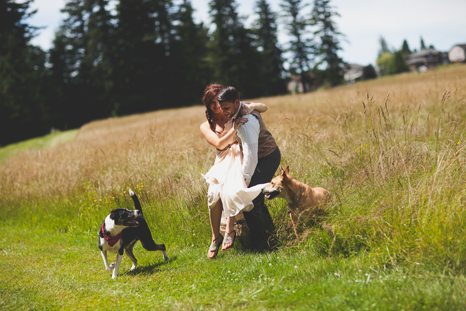 farm wedding in washington, field photos