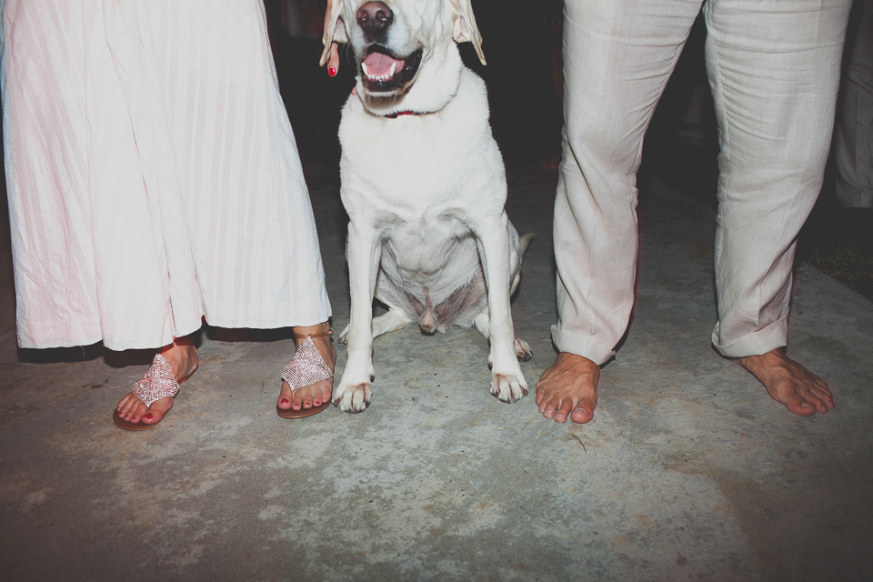 Jennifer and Pete's winery wedding in washington, WA, dog candid!