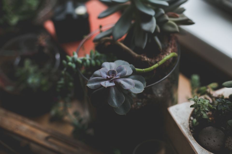 137-in-home-family-photographer