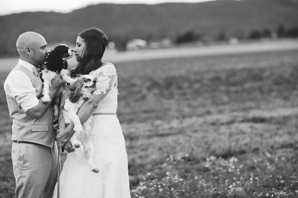 wedding portraits with dogs
