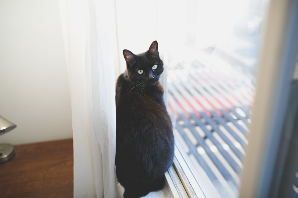 in home family photography, portland