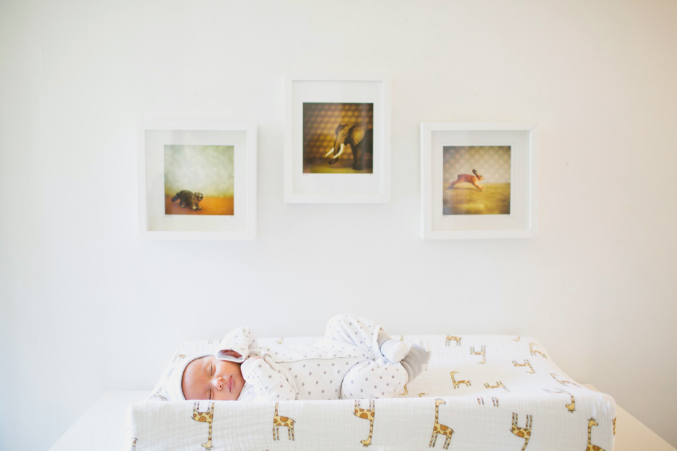 baby photographer portland