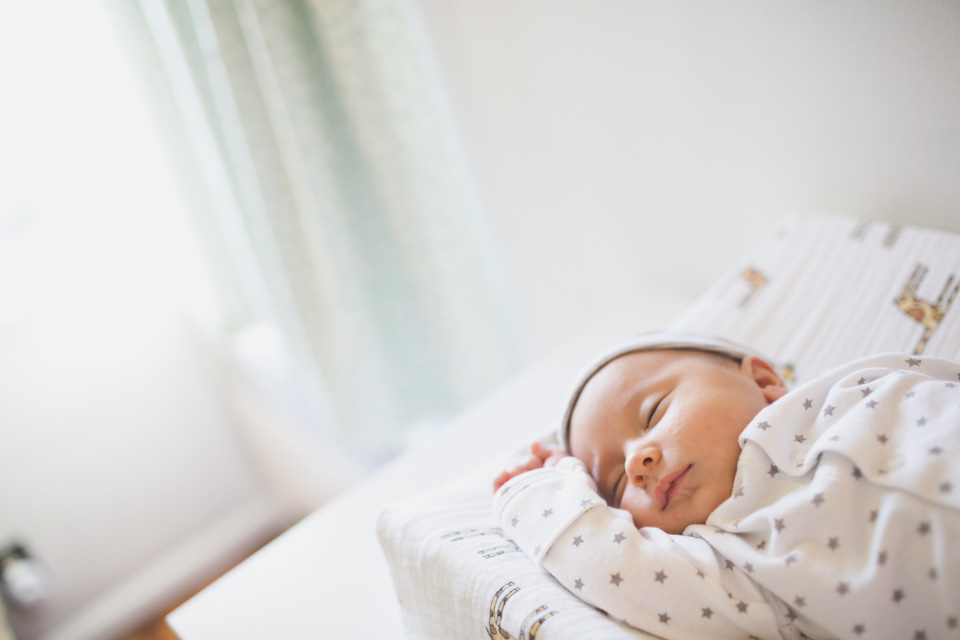 in home family photography portland