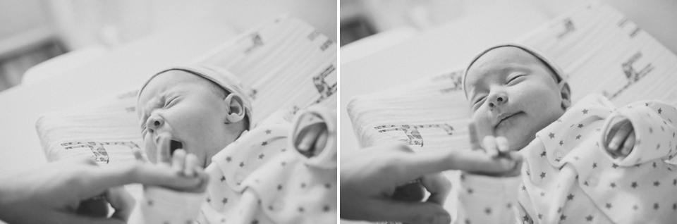 newborn photographer portland