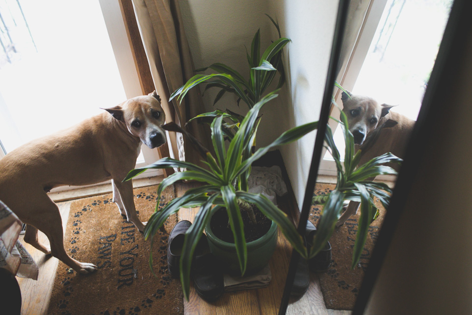 Portland family photographer