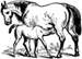 horse-nursing