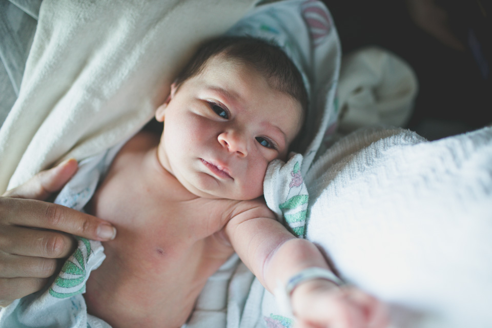 portland newborn photographer