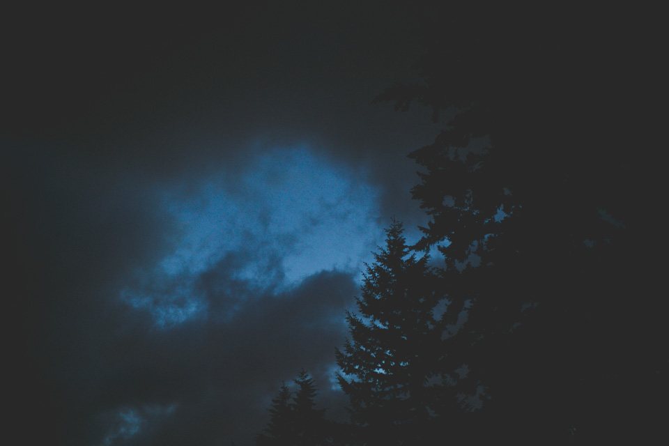 engagement photographer portland