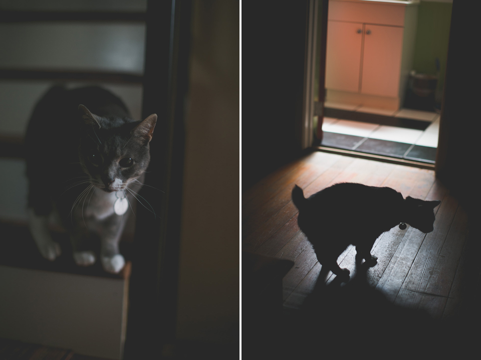 in home family photographer portland