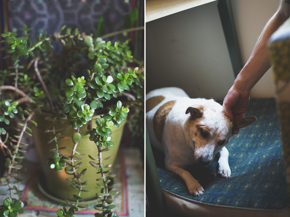 family photographer portland