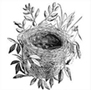 nest