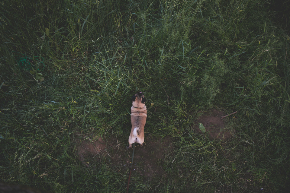 candid photographer portland