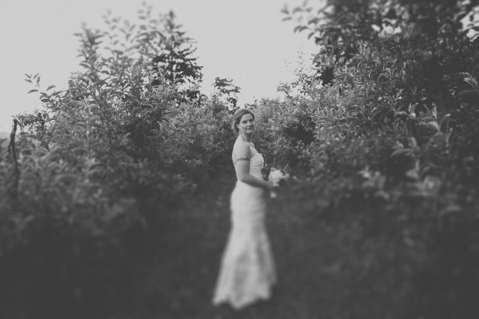 mt hood organic farms wedding