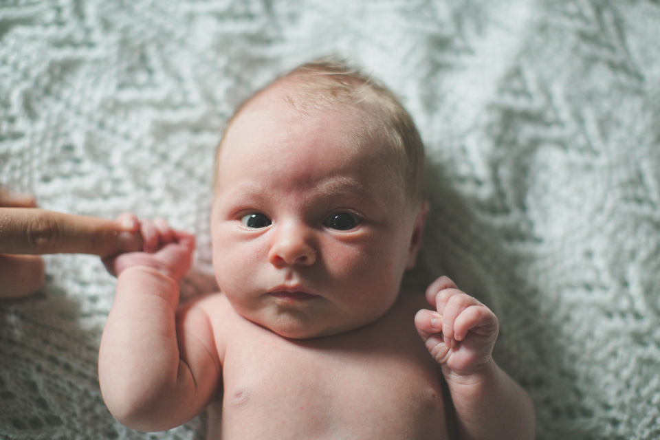 baby photographer portland