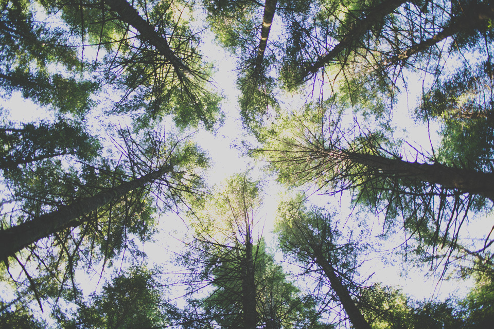 washington-wedding-photographer-042.5