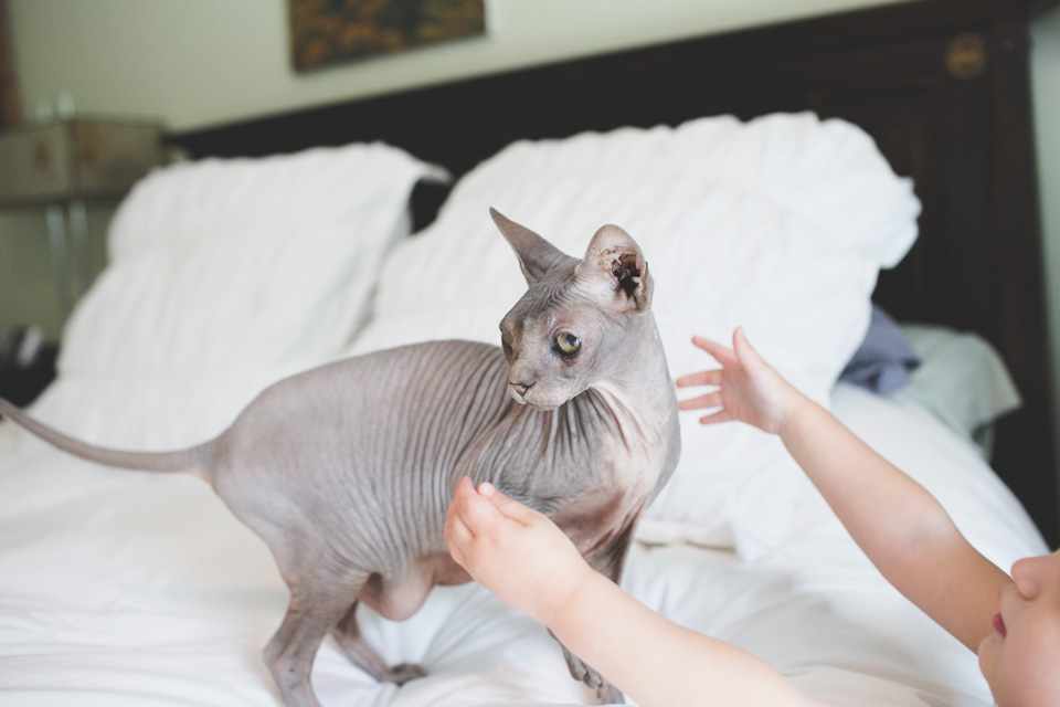 lifestyle photographer portland or