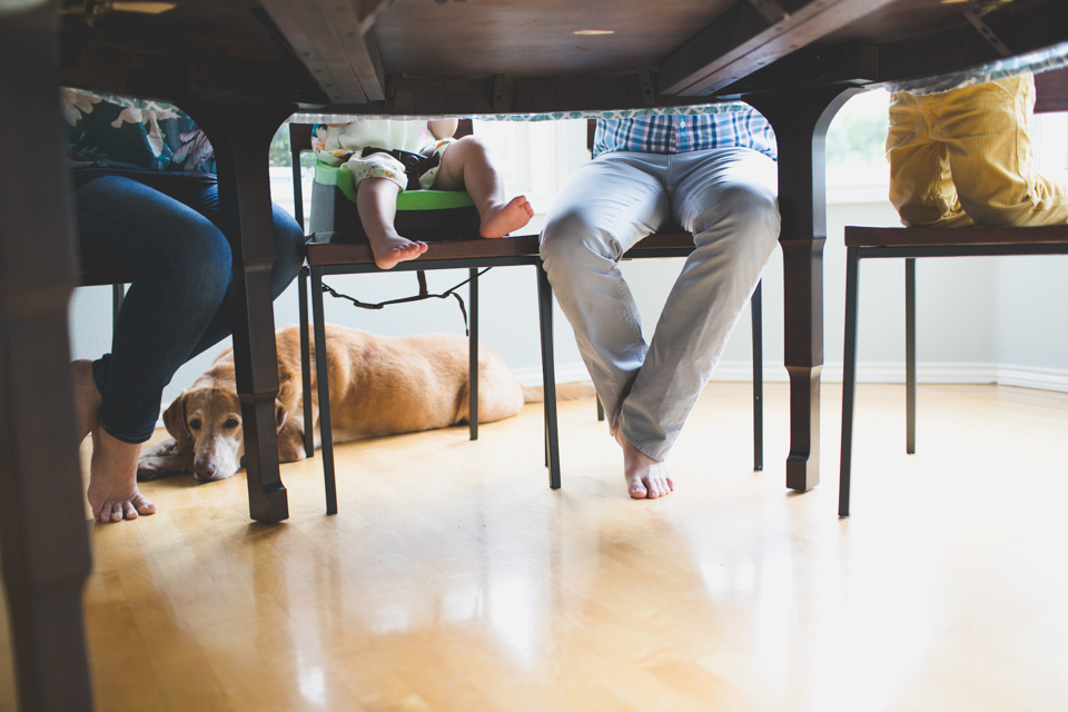 in home family photographer portland or