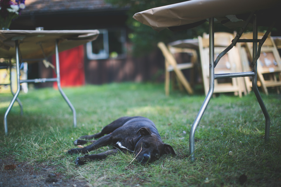 journalistic wedding photographer, WA