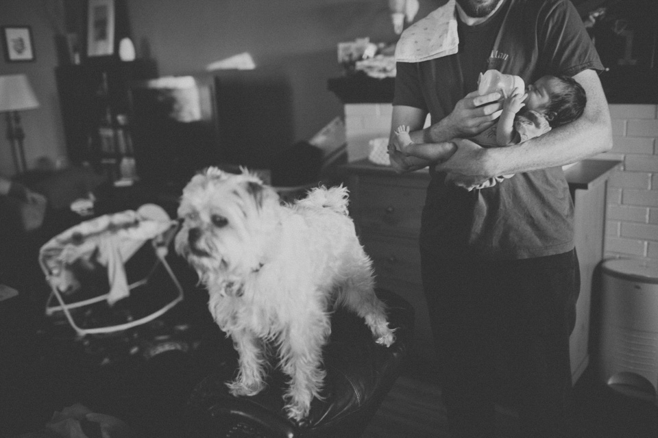in home family photographer