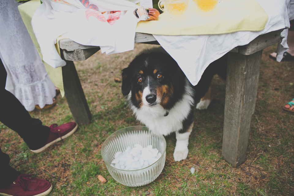 Sou'wester Lodge Wedding