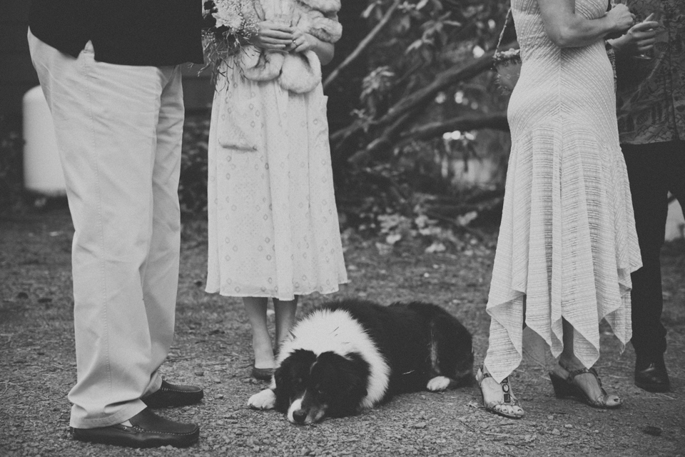 Sou'wester Lodge Wedding