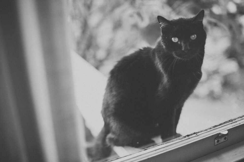 family photographer Portland, OR